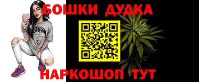 амф Кингисепп