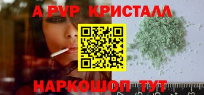 амф Кингисепп