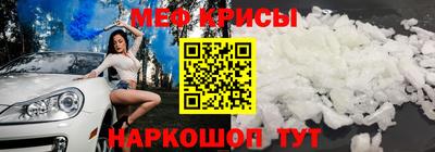 амф Кингисепп