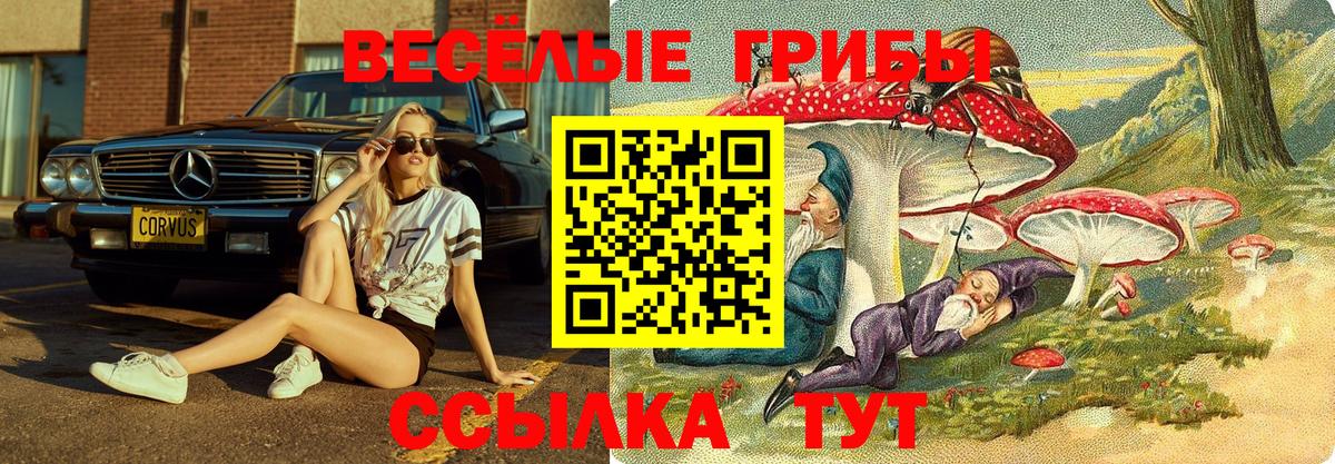 Псилоцибиновые грибы Magic Shrooms Крымск